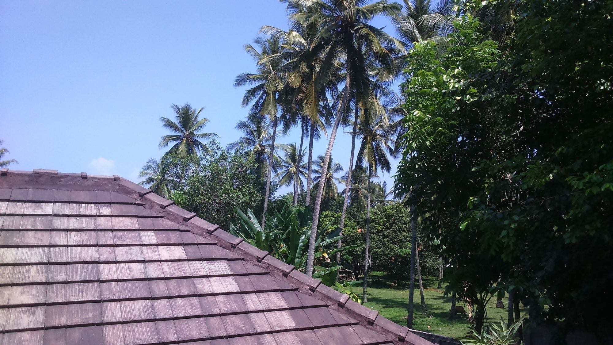 Senggigi Cottages Lombok Екстериор снимка