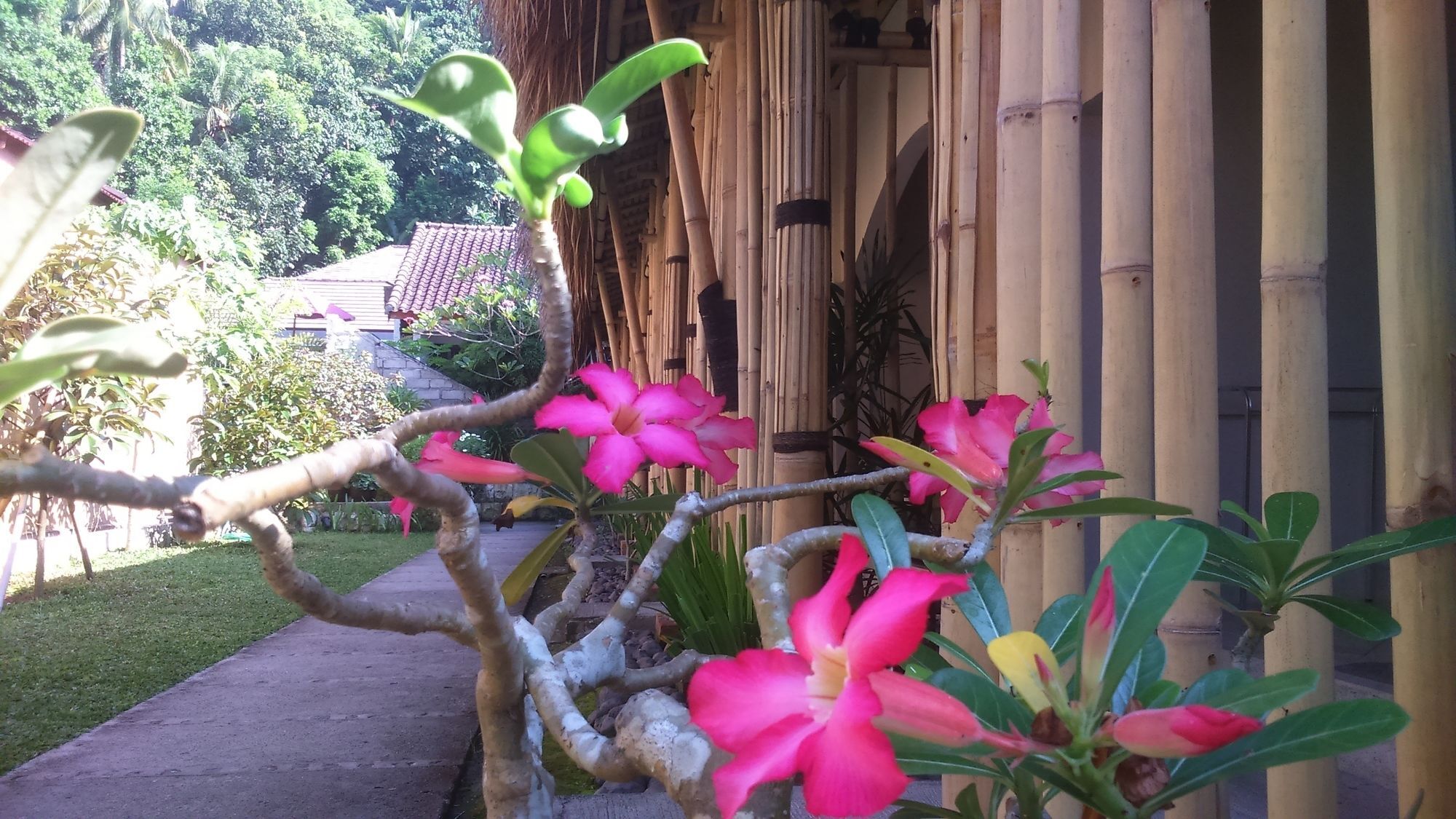 Senggigi Cottages Lombok Екстериор снимка